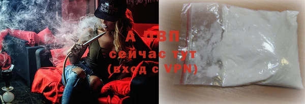 твердый Новокубанск
