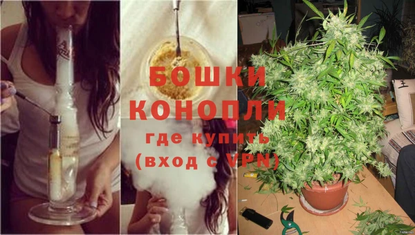 прущие крисы Нефтекумск