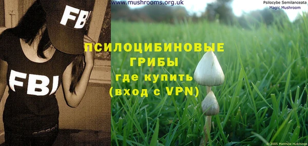 мдпв Нея