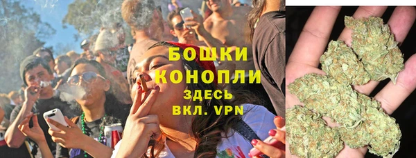 прущие крисы Нефтекумск