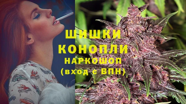 прущие крисы Нефтекумск