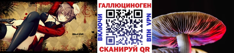 Псилоцибиновые грибы прущие грибы  где найти   Балабаново 