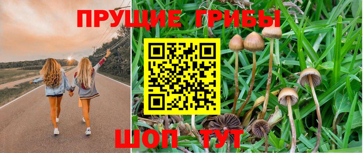 Псилоцибиновые грибы GOLDEN TEACHER Балабаново